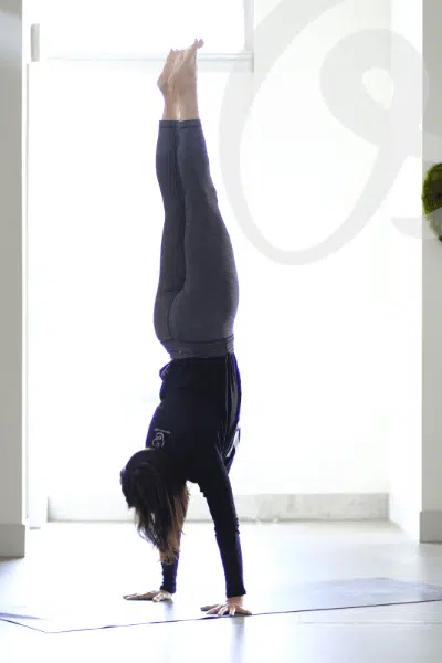 New Online Yoga Workout