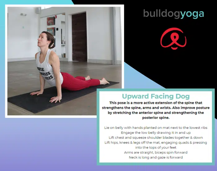 Yoga For Toddlers - Upward Facing Dog